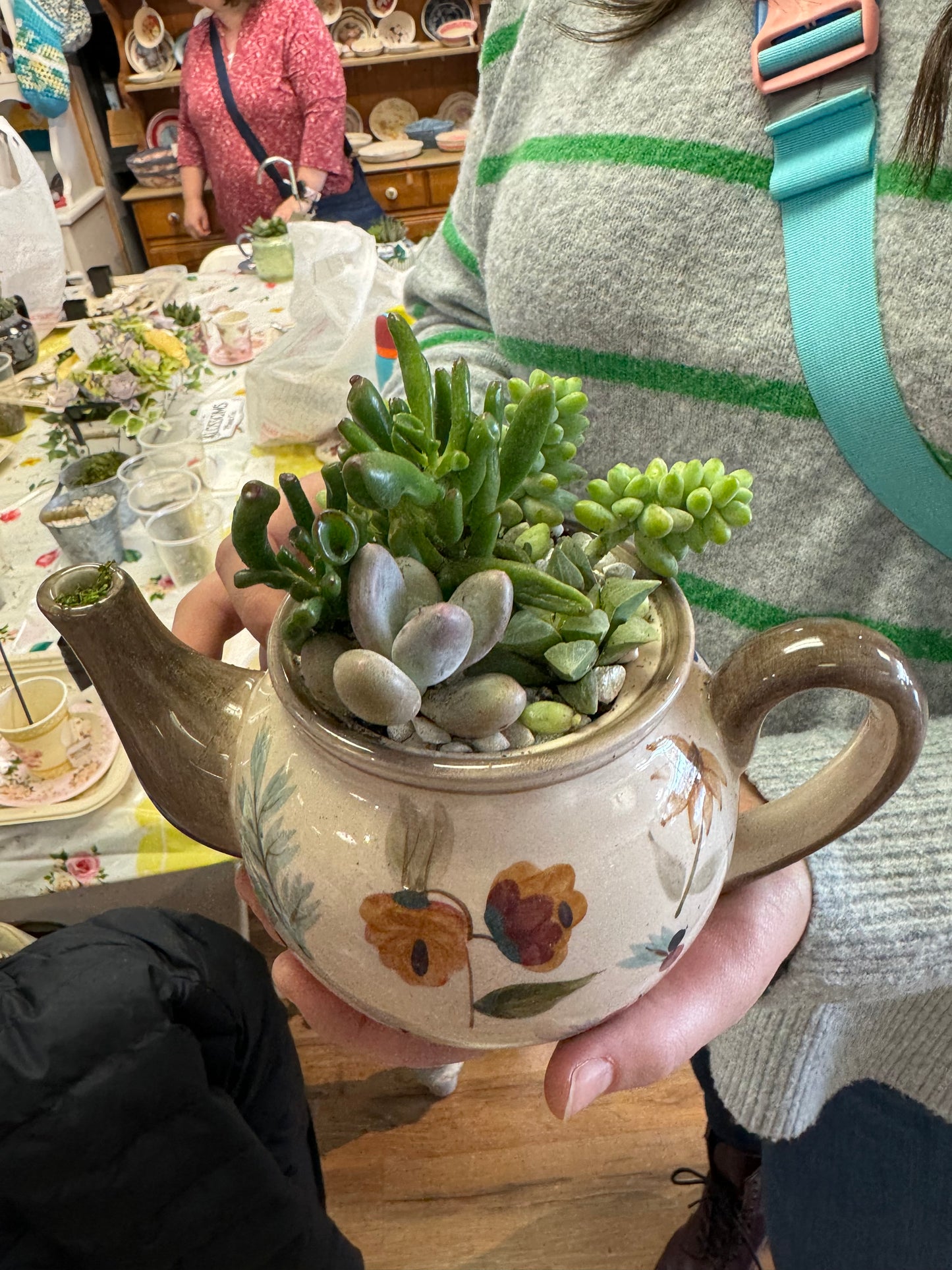 March 1st Teapot Terrarium Workshop—-SOLD OUT—- Thank you!