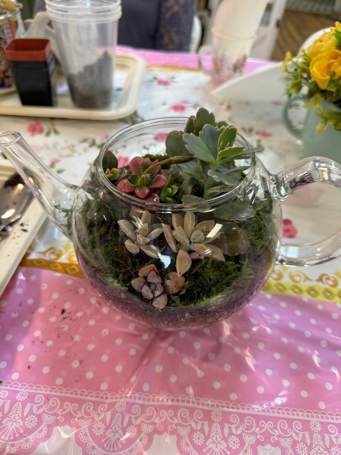March 1st Teapot Terrarium Workshop—-SOLD OUT—- Thank you!