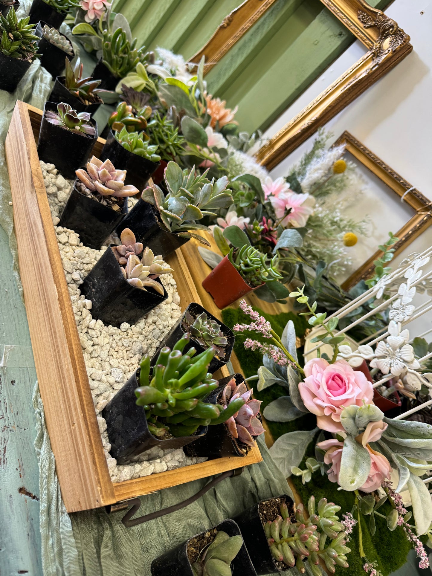 March 1st Teapot Terrarium Workshop—-SOLD OUT—- Thank you!