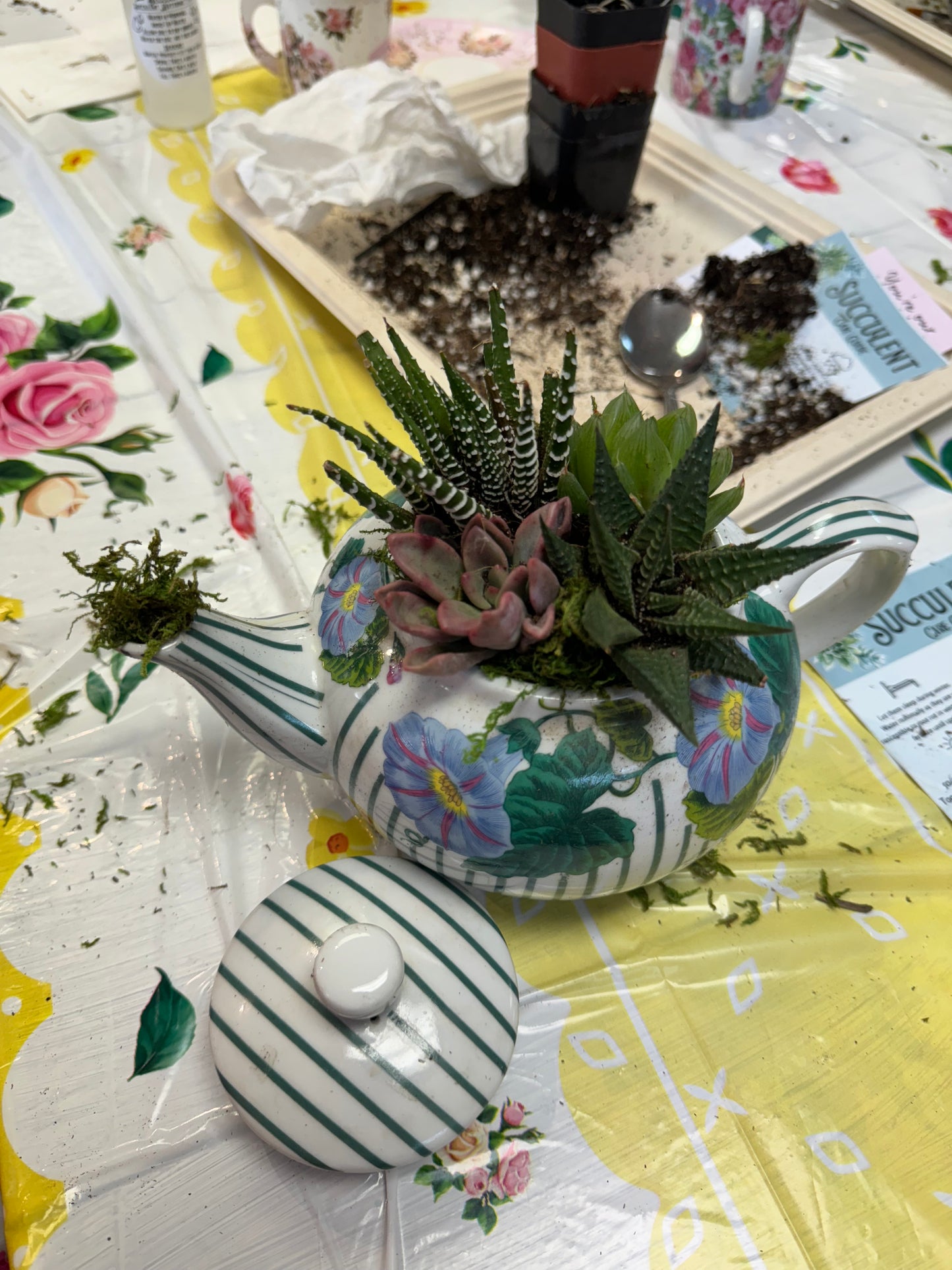 March 1st Teapot Terrarium Workshop—-SOLD OUT—- Thank you!