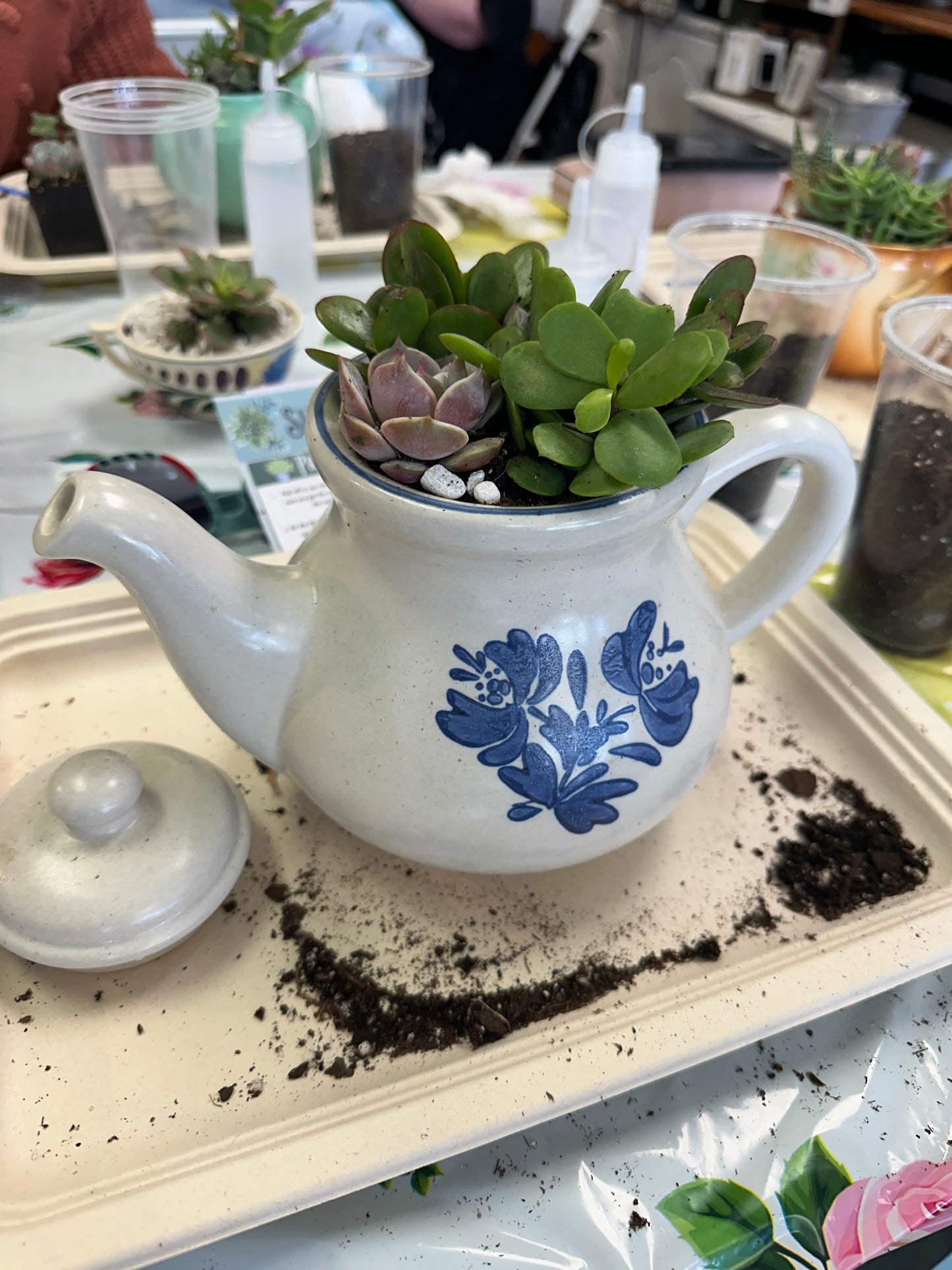 March 1st Teapot Terrarium Workshop—-SOLD OUT—- Thank you!