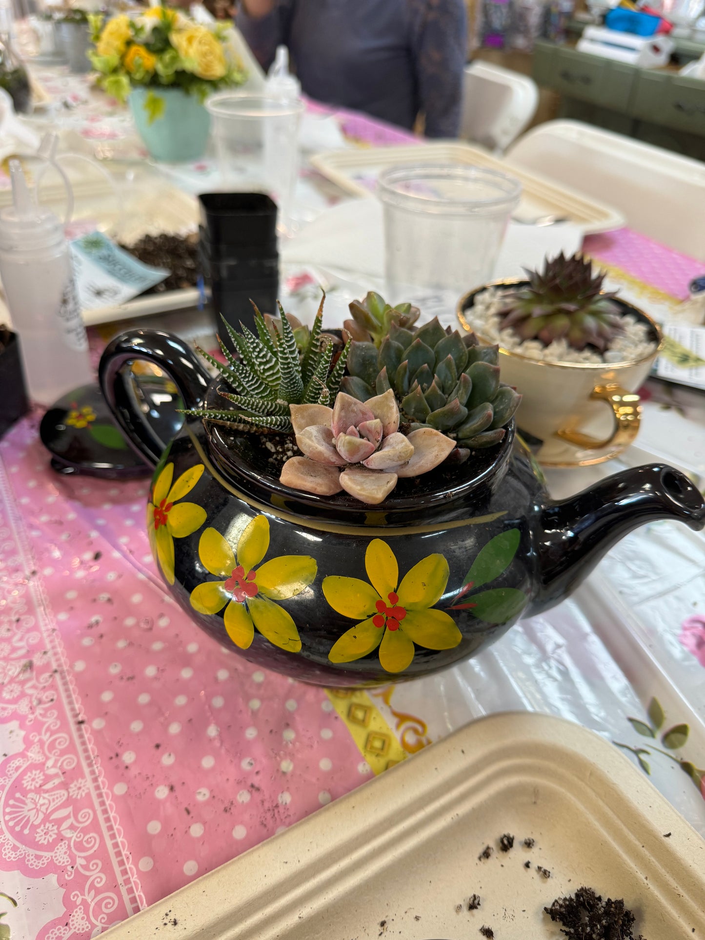 March 1st Teapot Terrarium Workshop—-SOLD OUT—- Thank you!