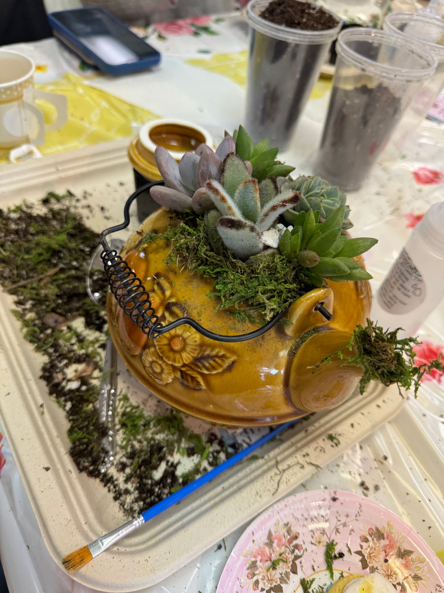 March 1st Teapot Terrarium Workshop—-SOLD OUT—- Thank you!