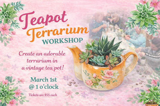 March 1st Teapot Terrarium Workshop—-SOLD OUT—- Thank you!